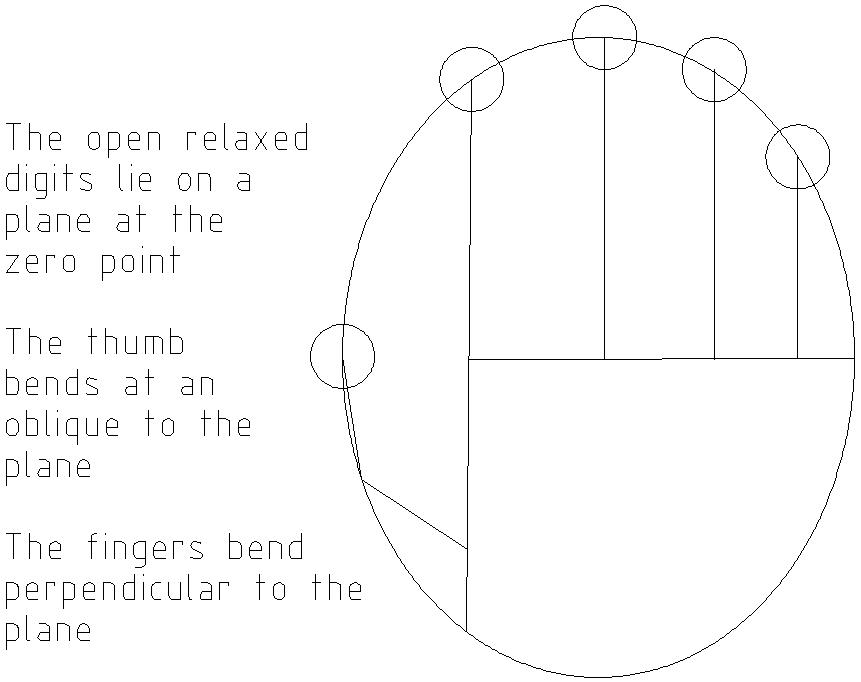 A schematic of a
        hand